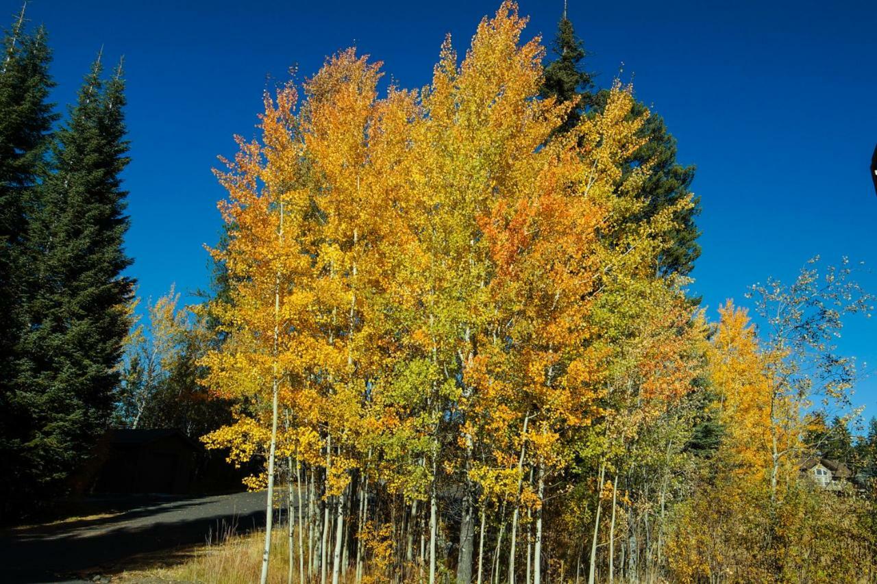 Aspen Village Golf Course Condo - Snowshoes McCall Esterno foto